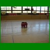 D-Jugend_Turnier 2012_107.jpg